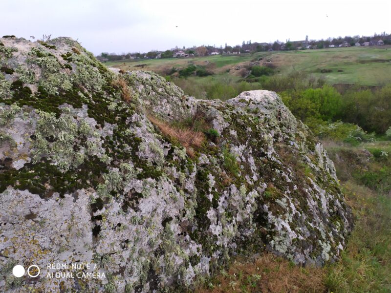 Приінгульський регіональний парк